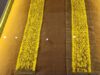 46695139812921060388755673433771521643153488n